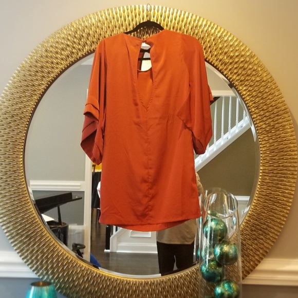 Rust color flare sleeve dress - Picture 2 of 5